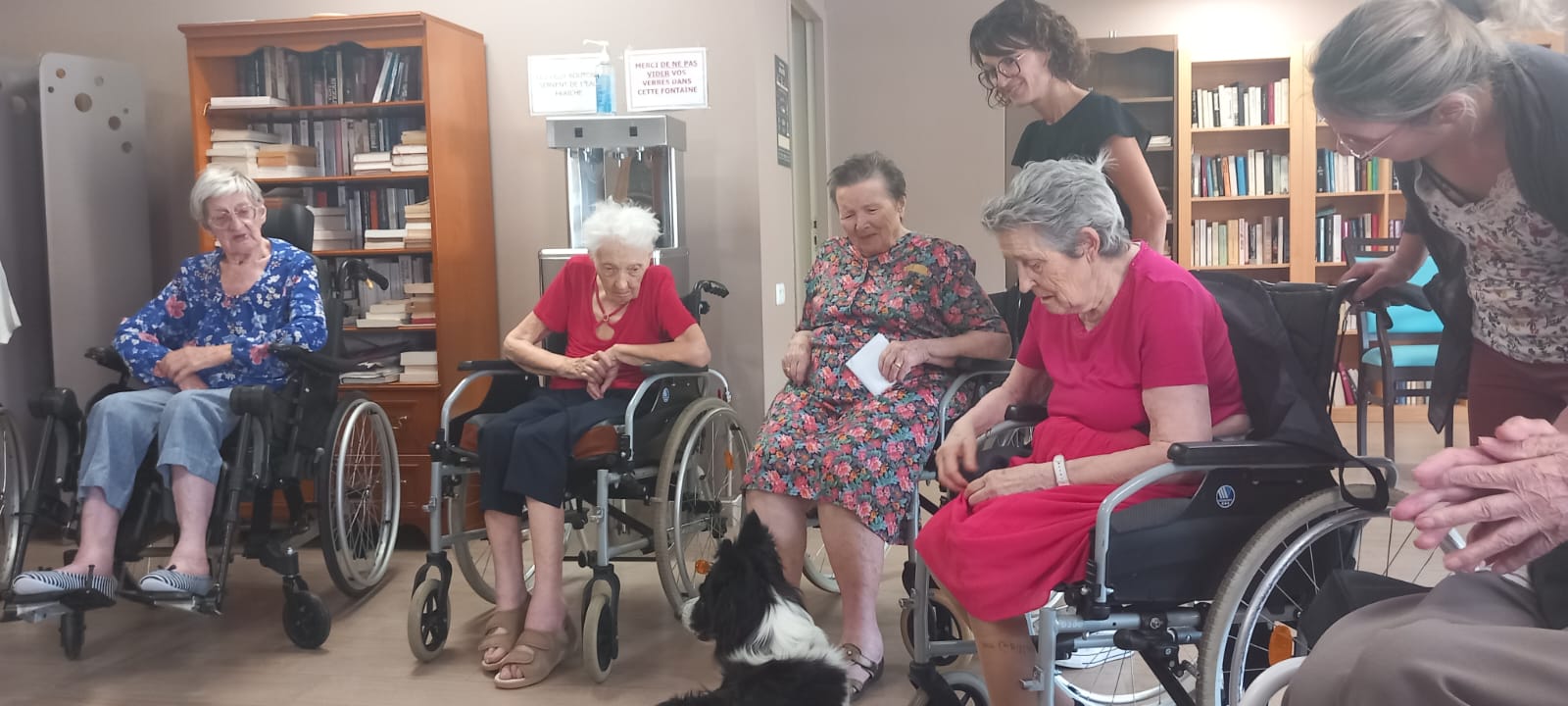 Médiation animale avec AZCO - 30 juin 2023