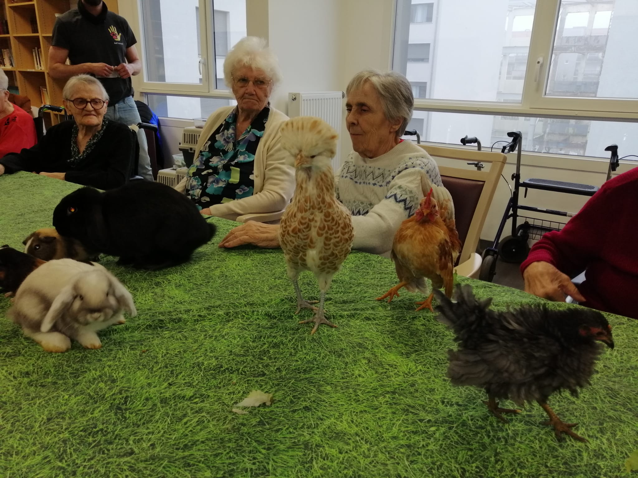 Séance de médiation animale avec Ani’nomade  - 210125 