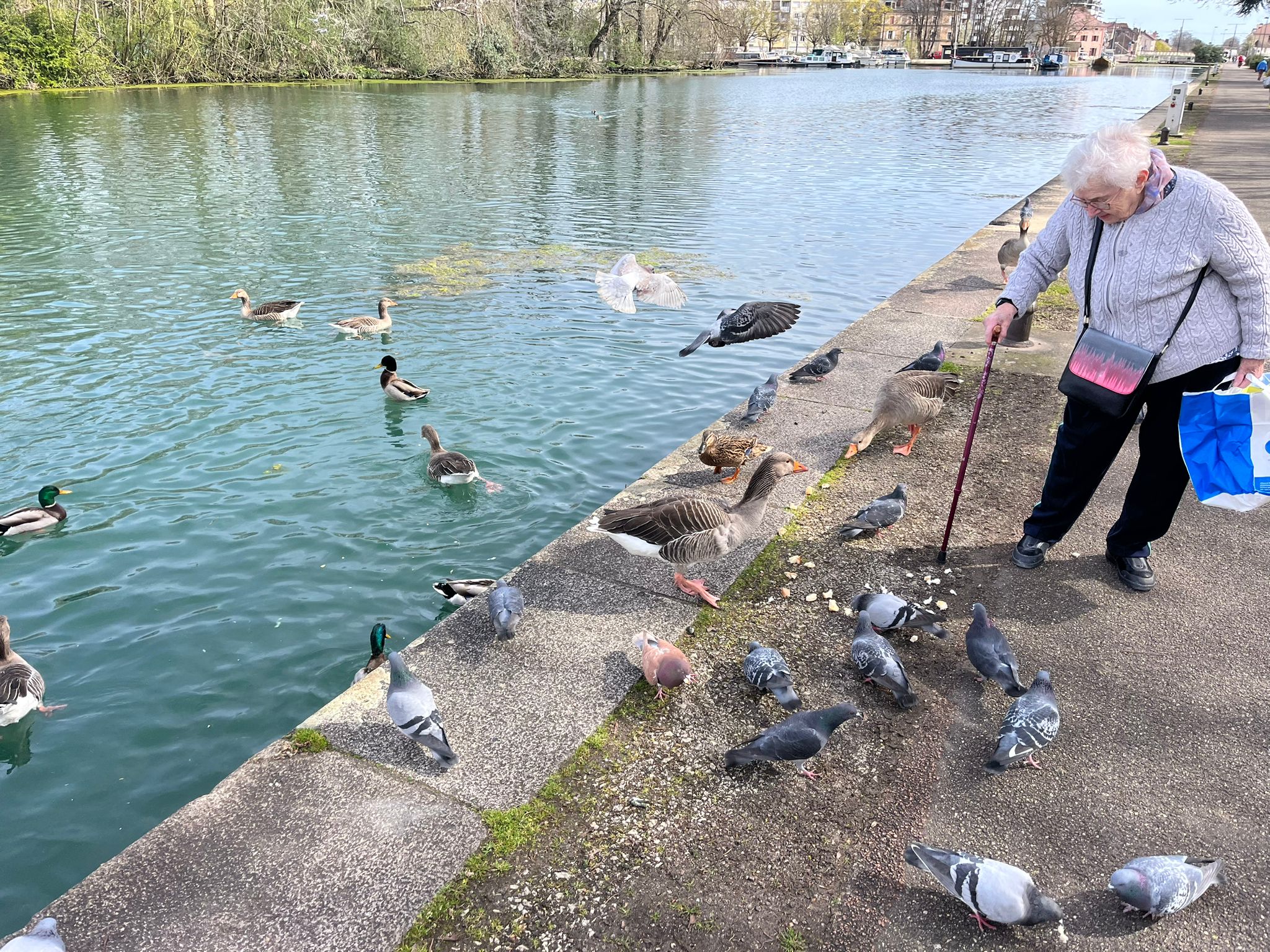 Balade au Port du Canal pour des résidents des Jardins Voltaire  - 250324