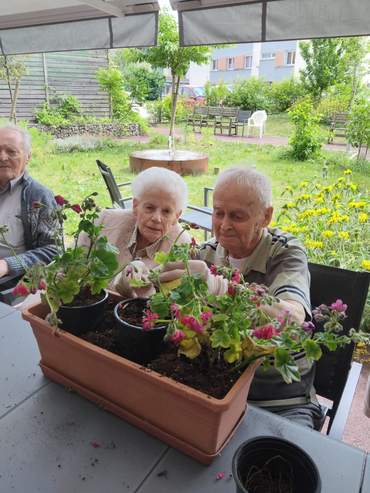 Jardinage à l'EHPAD des Bégonias mai 2025