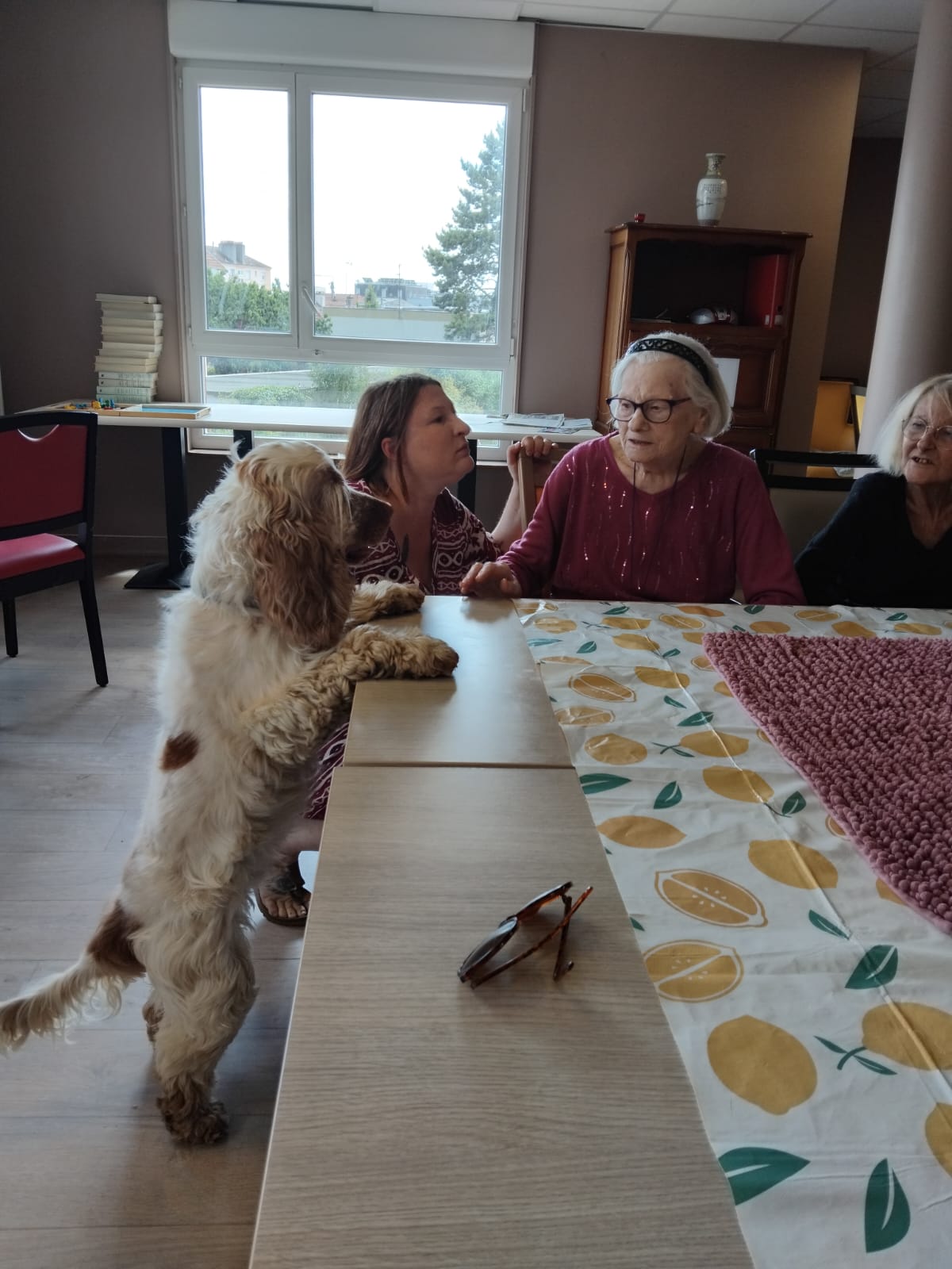 Rencontre avec la Fluffy Compagnie aux Bégonias le 23 mai 2025