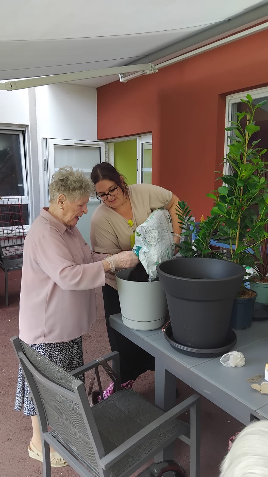 Jardinage aux Bégonias 01062026