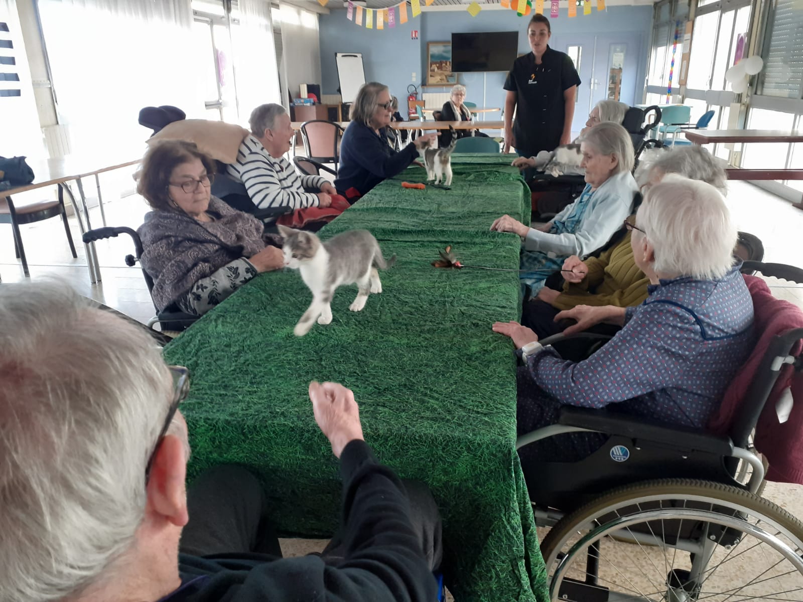 Des animaux aux Marguerites avec la venue d'Ani'nomade - 171023