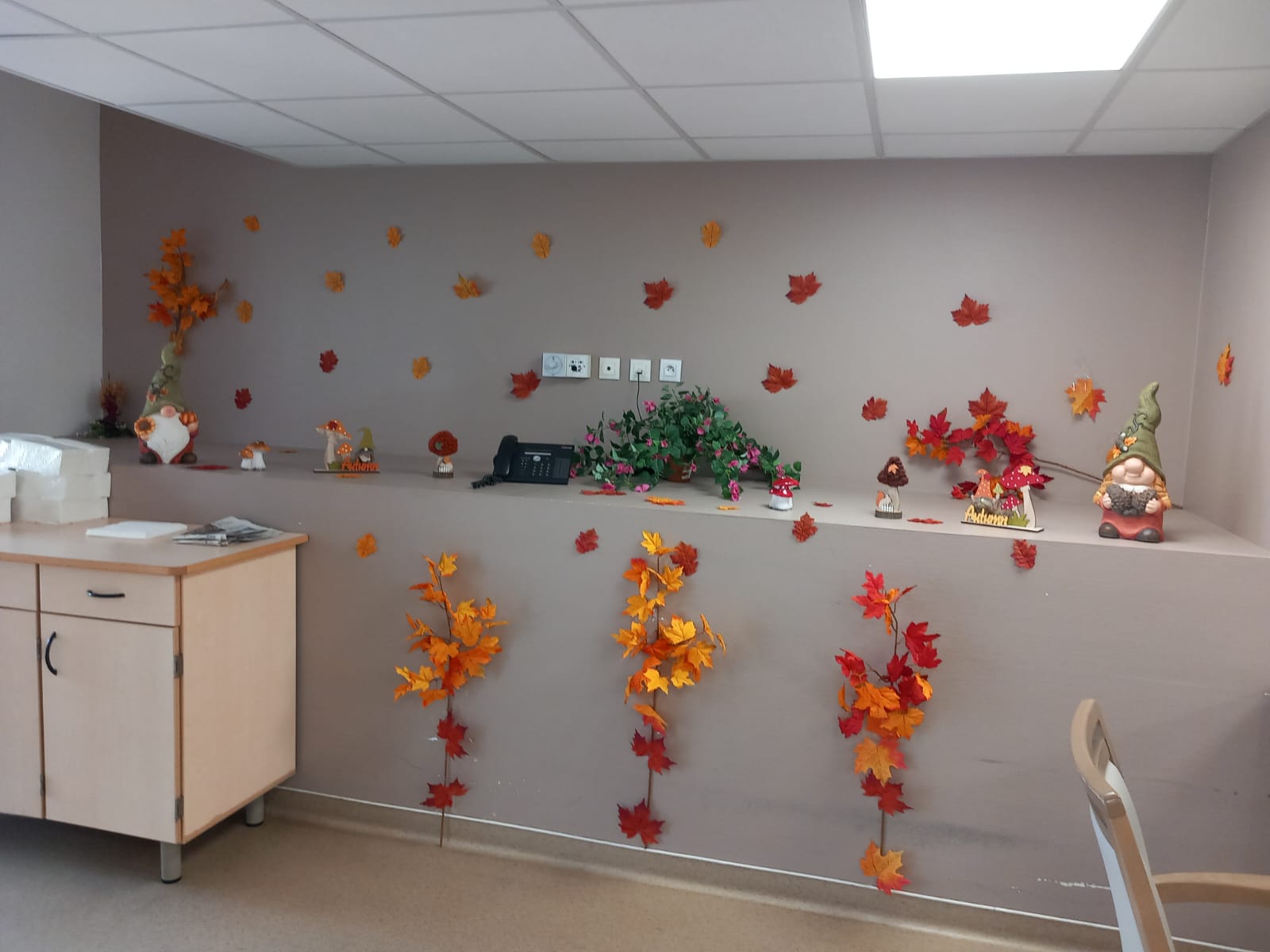 Un peu de décoration automnale aux Bégonias - 220924