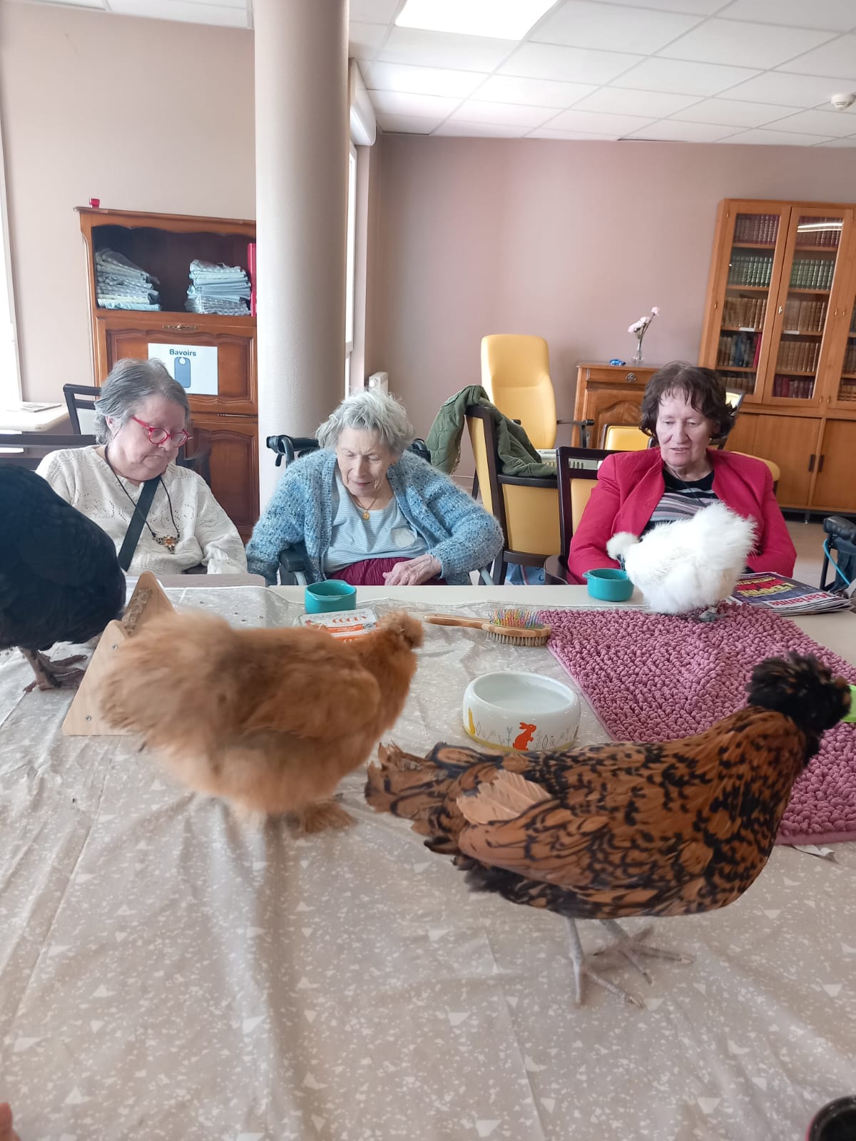 Rencontre avec la Fluffy Compagnie aux Bégonias le 14 avril 2025