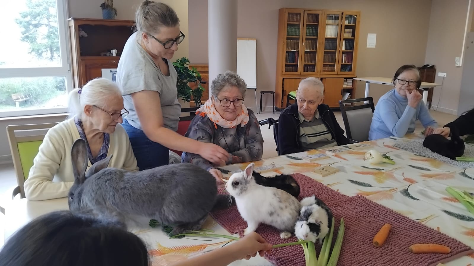 Zootherapie à l'EHPAD des Bégonias 10022026