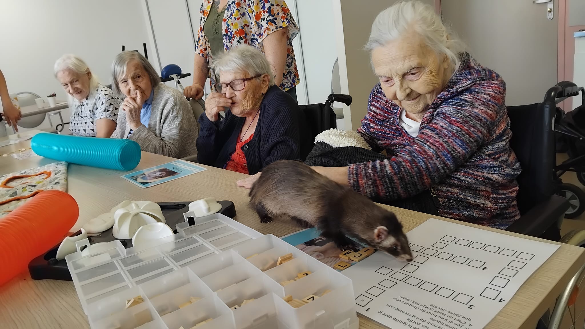 Zoothérapie avec la Fluffy Compagnie aux Bégonias le  16062026