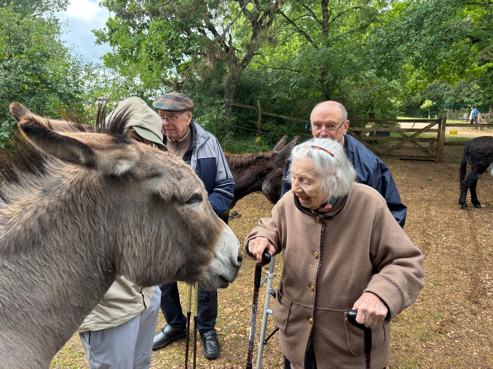 Sortie à  la ferme de l'Ane au Zébu 10062026