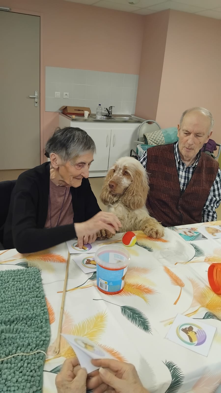 Rencontre avec la Fluffy Compagnie aux Bégonias 27012026